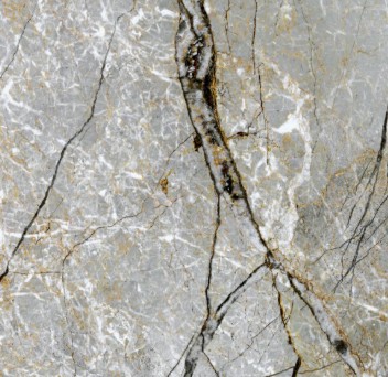SILVER ROOT